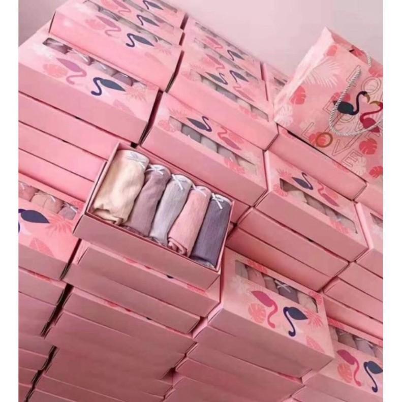 Hộp 5 quần chíp hồng hạc kháng khuẩn cho nữ