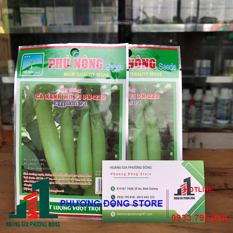 Combo 5-10 gói hạt giống cà xanh chất lượng, năng suất cao