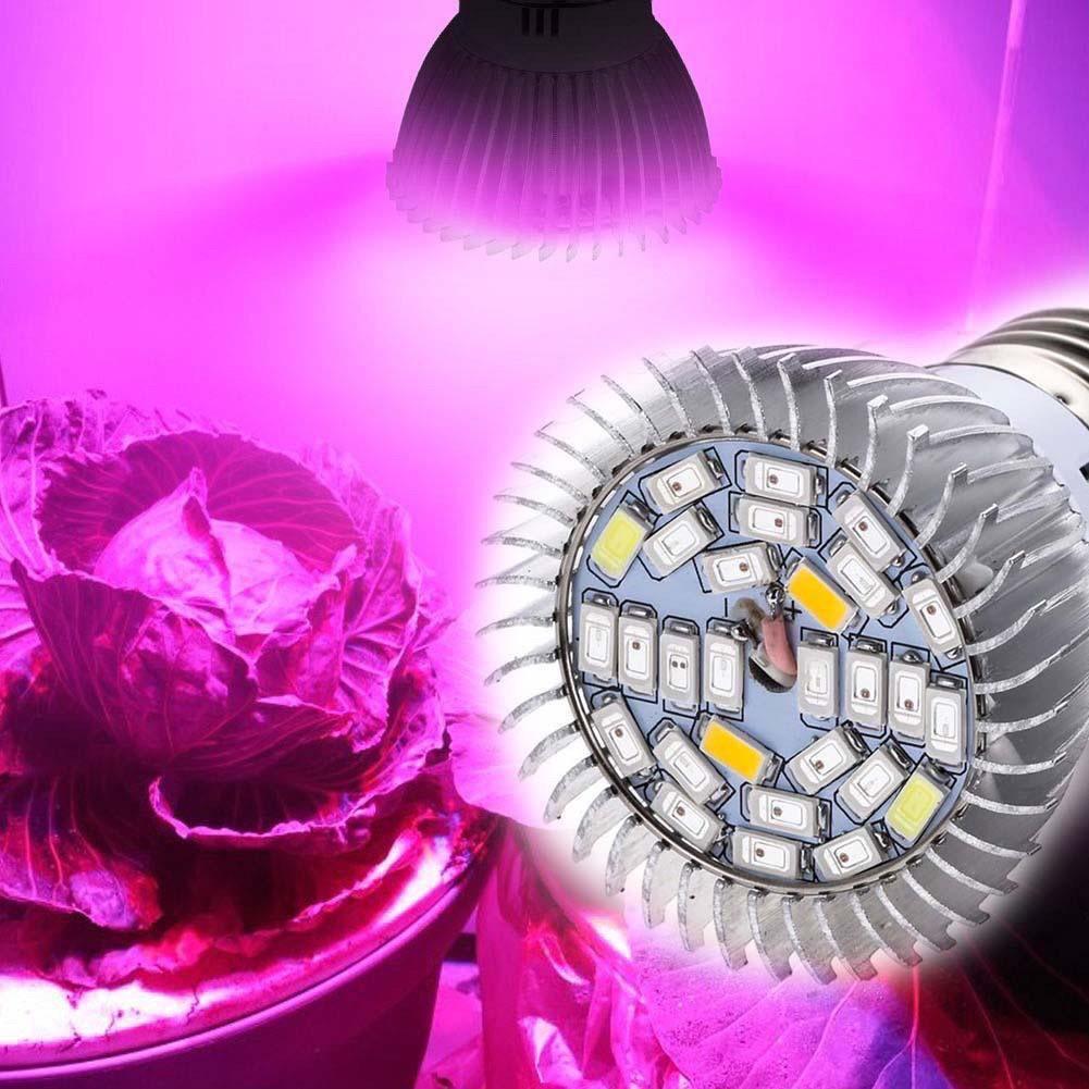 Đèn led trồng cây E27 (30W)