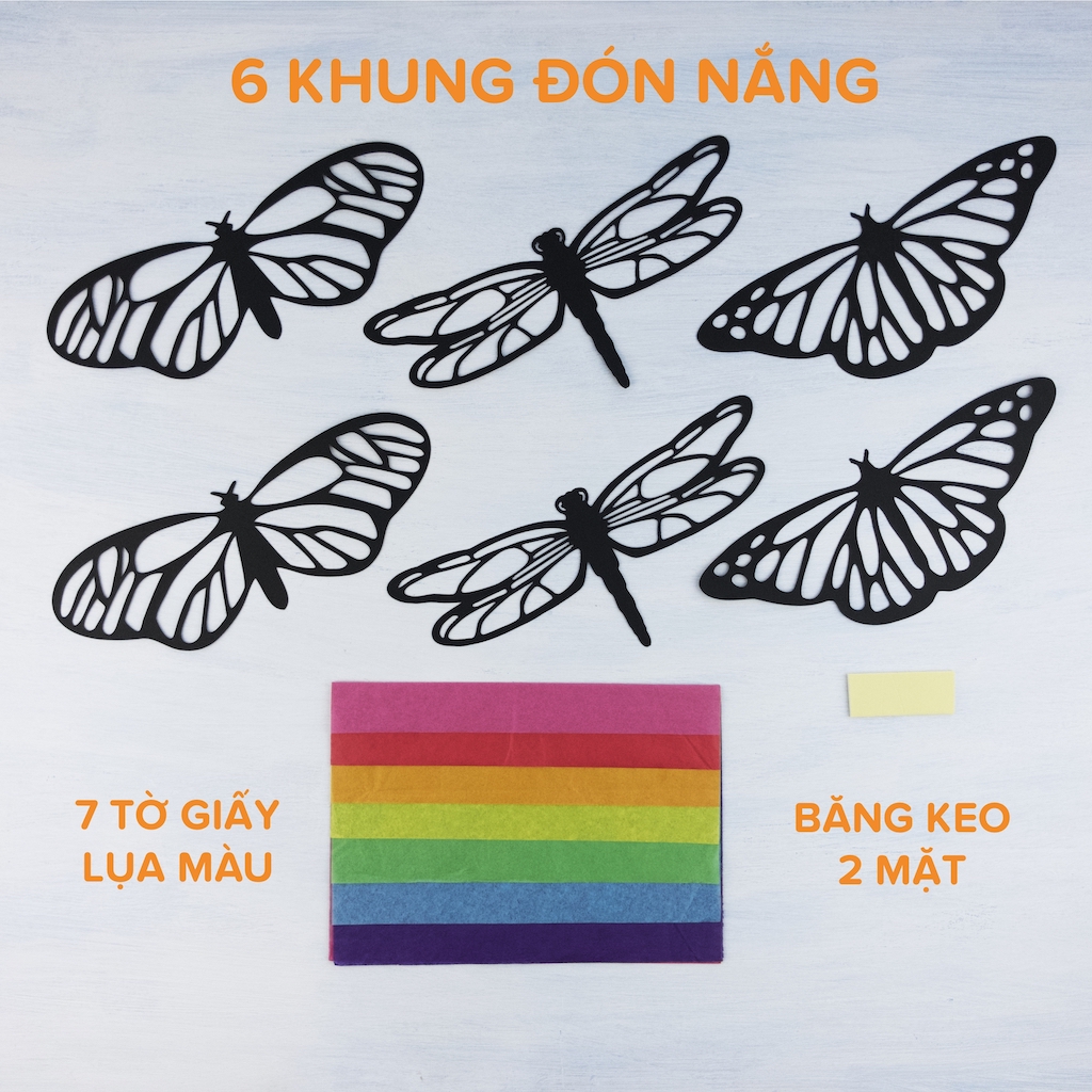 Bộ Thủ Công Bươm Bướm Đón Nắng