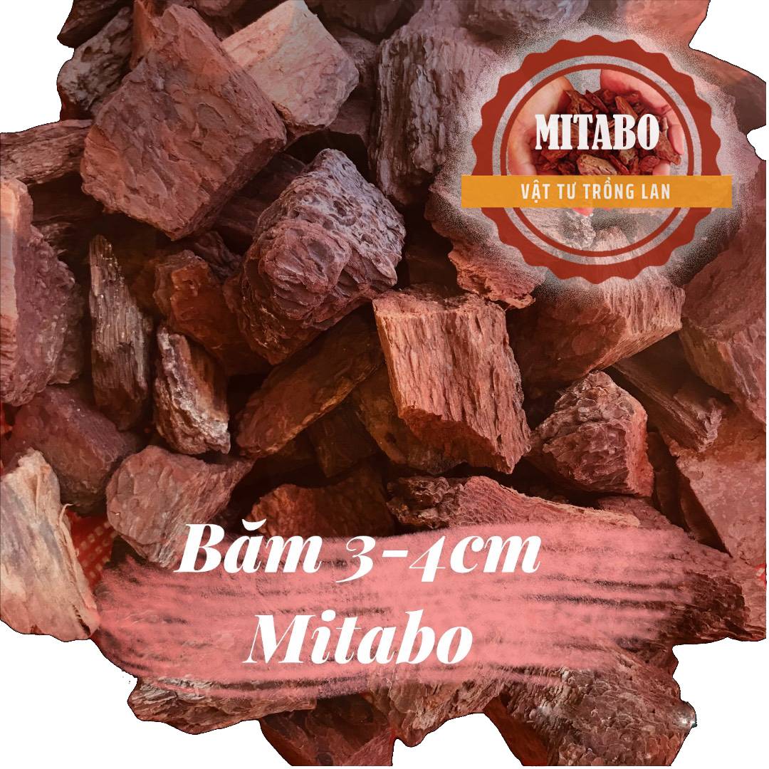 Vỏ thông băm 3-4cm