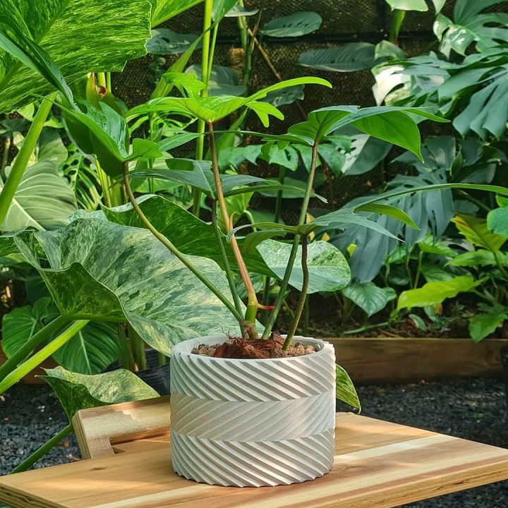 Combo 4 Chậu trồng sen đá , xương rồng, bonsai cây cảnh bằng xi măng, chính hãng Cori , chậu 3D Origami hình trụ tròn kích thước 15x11cm - Cement pots GiaThanh Decor