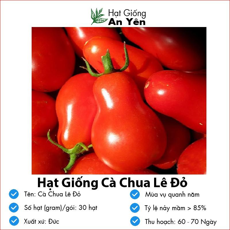 Hạt giống Cà Chua Cherry Lê Đỏ thu hoạch sớm, dễ trồng, nảy mầm cao, sinh trưởng khoẻ