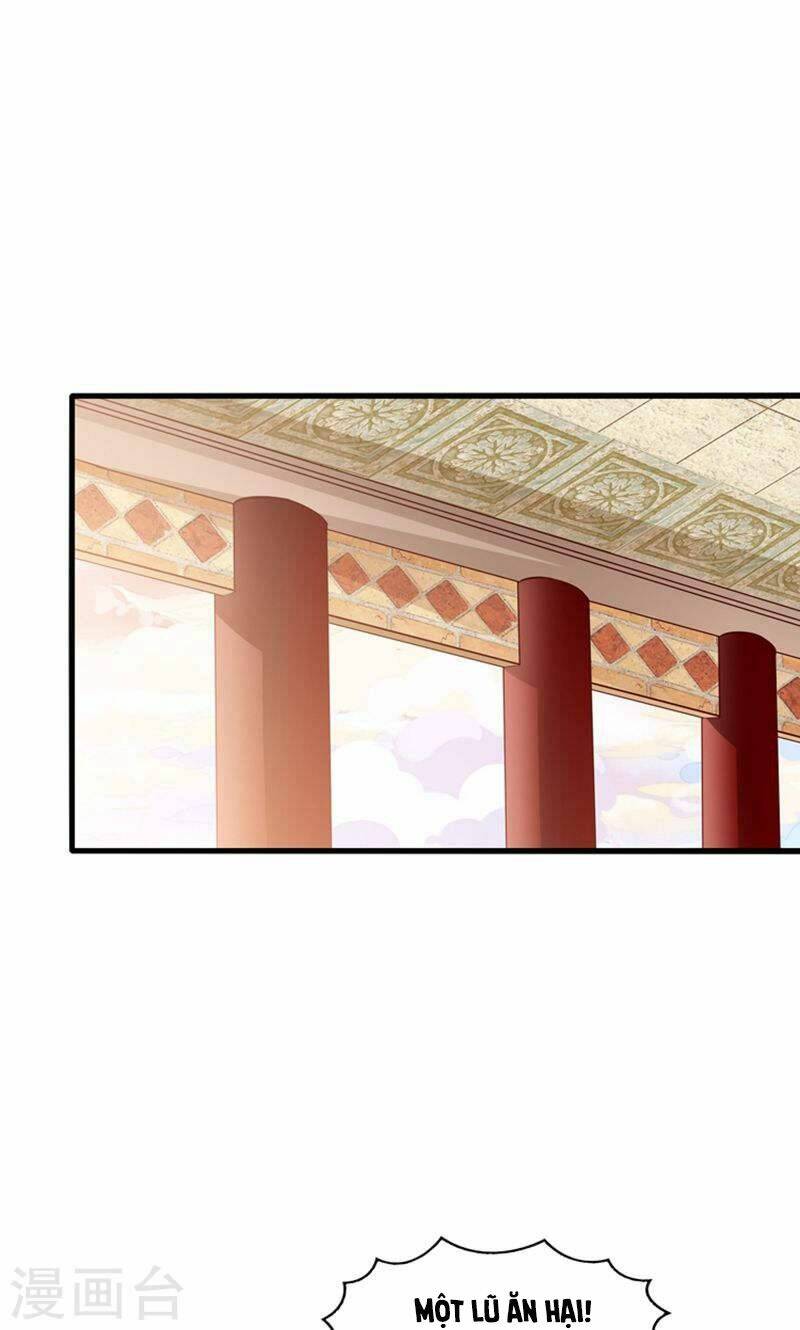 tôi bị gấu trúc nhìn trúng rồi chapter 23 12