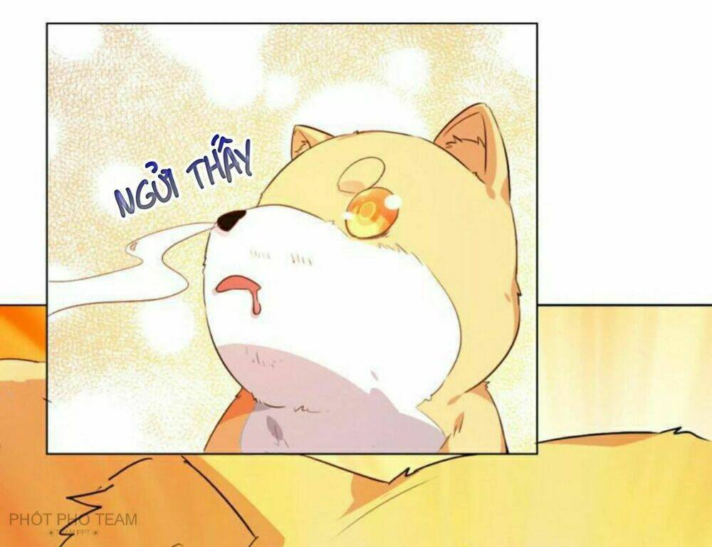 hôm nay lại cũng không thể biến thành người được chapter 6 24