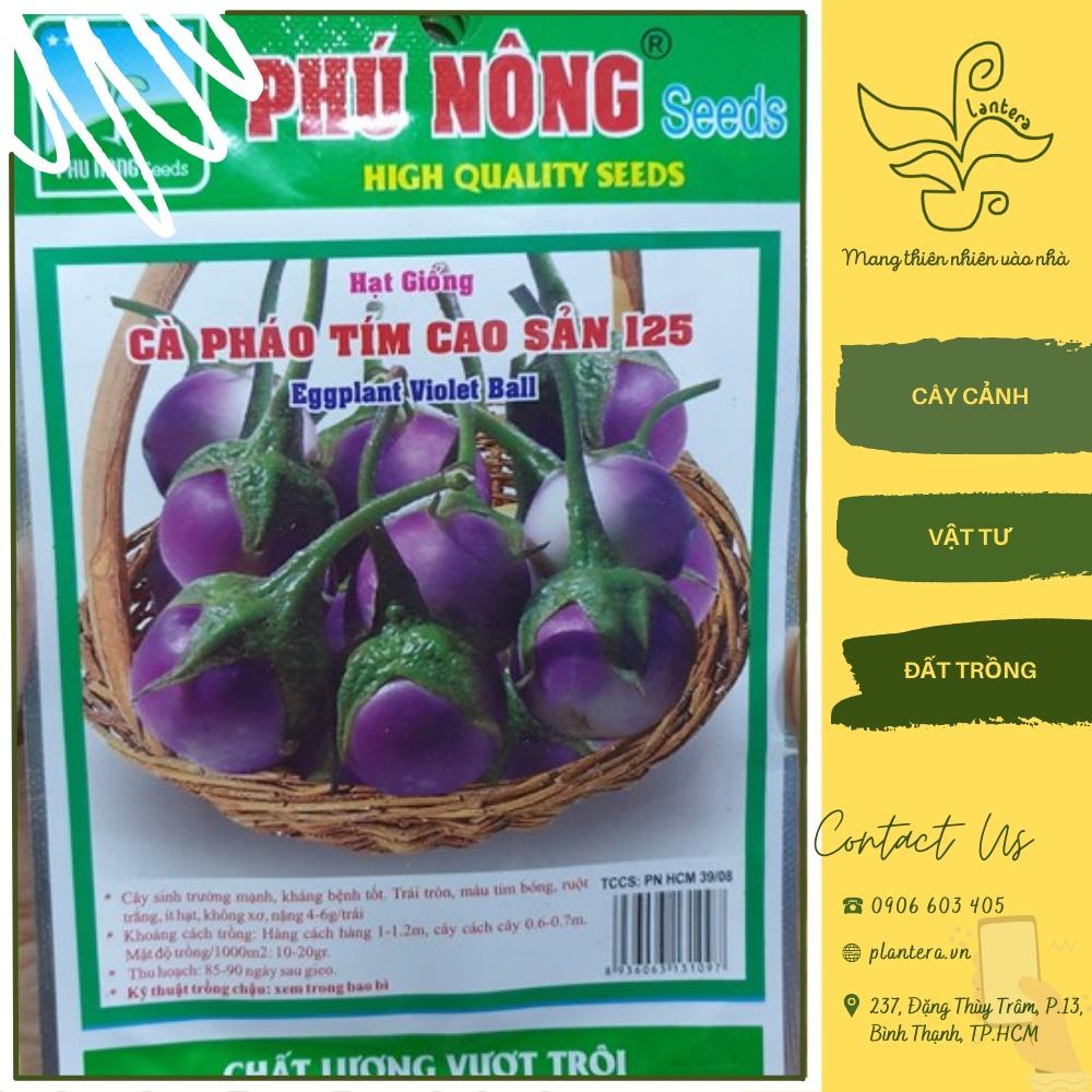 HẠT GIỐNG CÀ PHÁO TÍM PN
