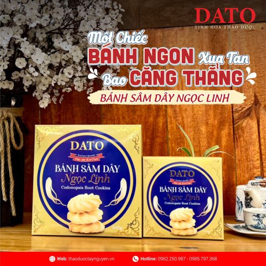 Bánh sâm dây Ngọc Linh DATO, bánh quy, bánh quy sâm ngon