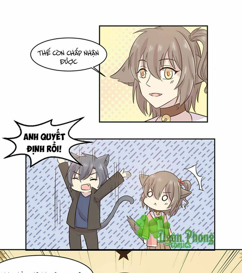 hai chú mèo totem chapter 20 13
