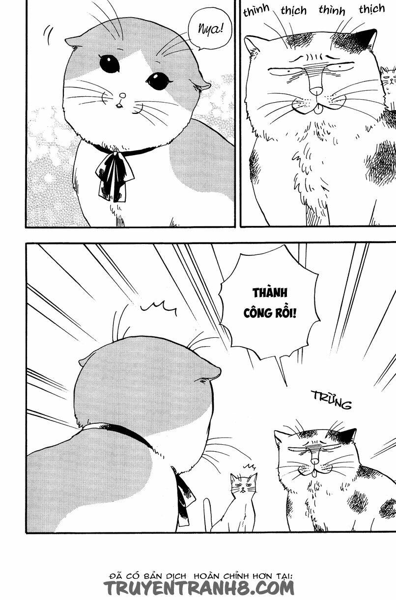 tui là busamen! chapter 3 3