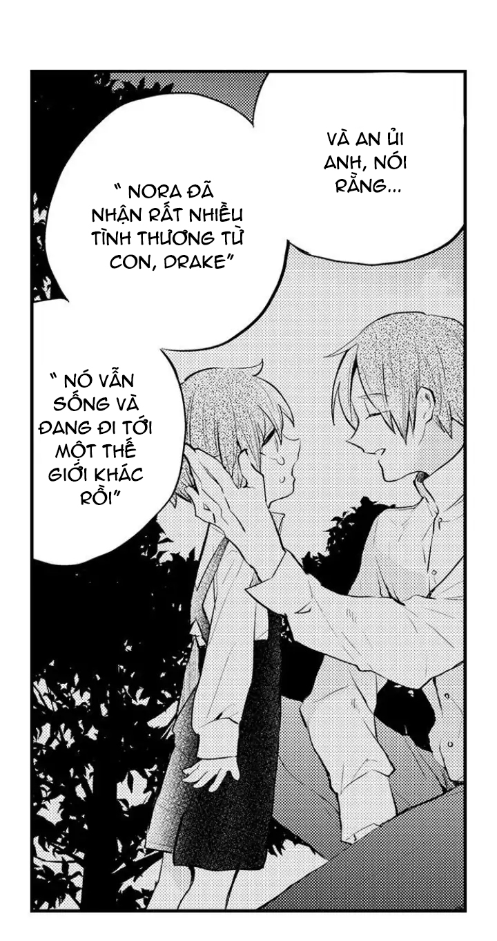 tiếng gọi của tình yêu sau trải nghiệm cận tử chapter 31 18