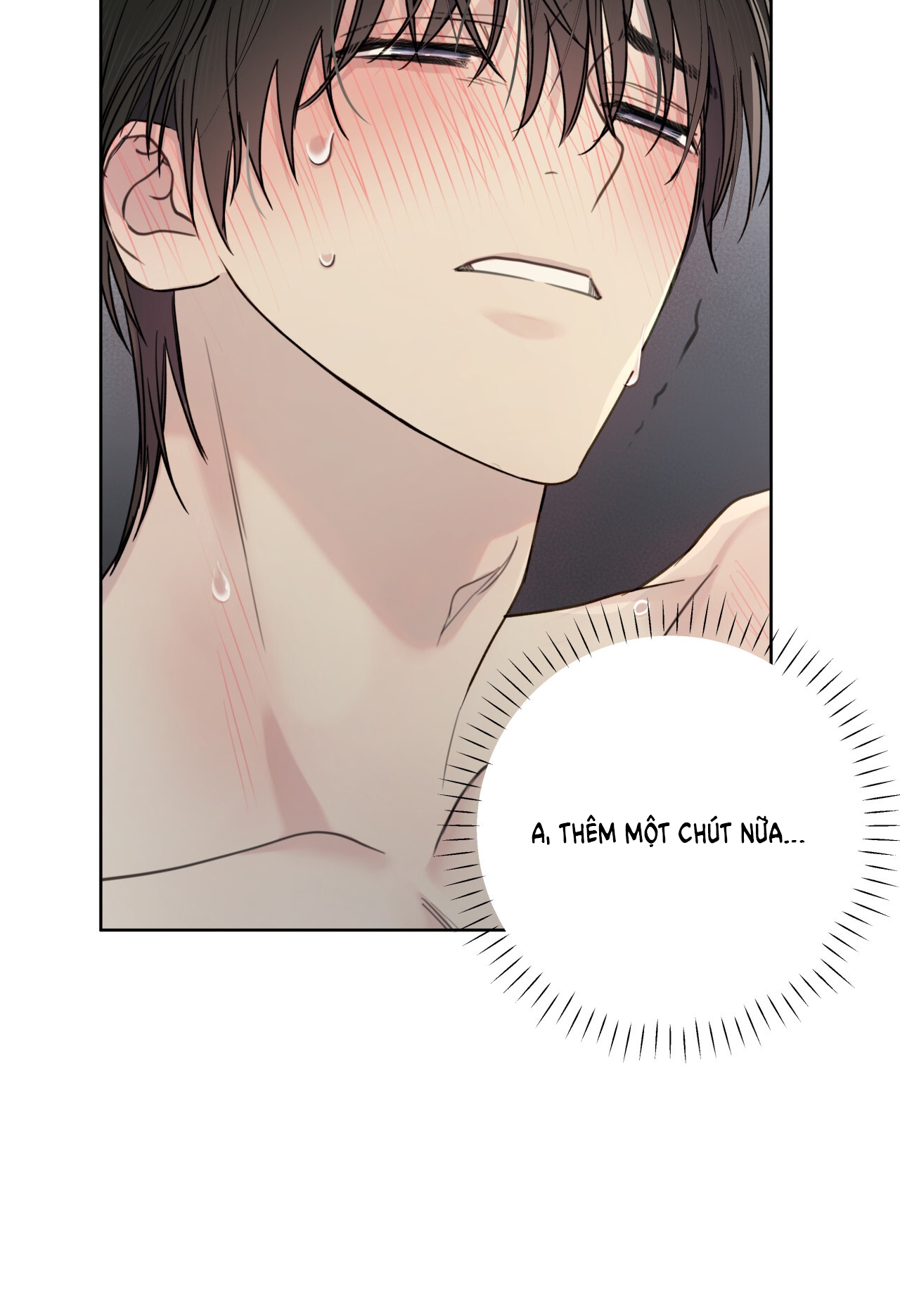 Trị Liệu Nguy Hiểm chapter 5.2 - Trang 15