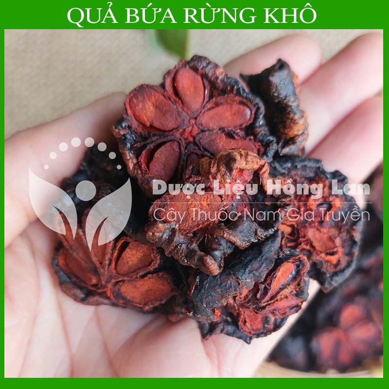  500g Quả Bứa Rừng khô (Quả măng cụt rừng) 