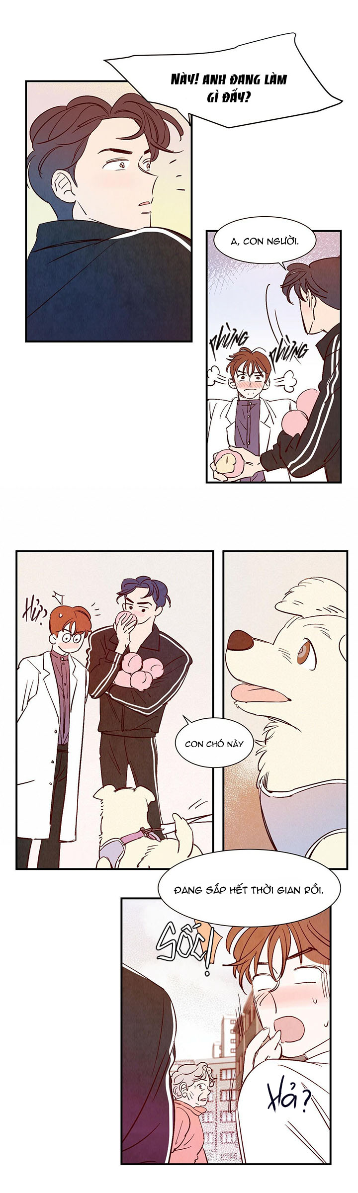 chuyện tình của woonwoo chapter 6 5