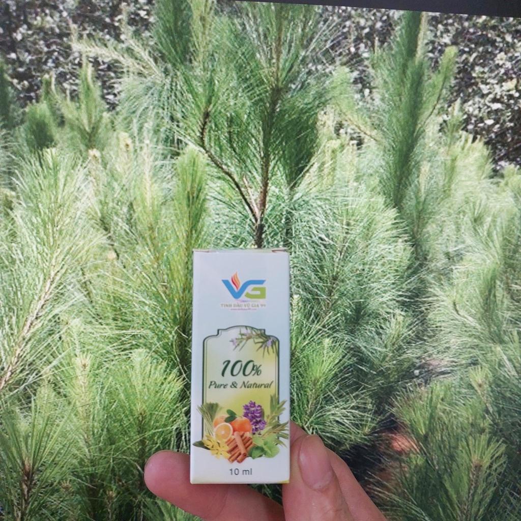 Tinh dầu gỗ thông nguyên chất 10ml 20ml 50ml