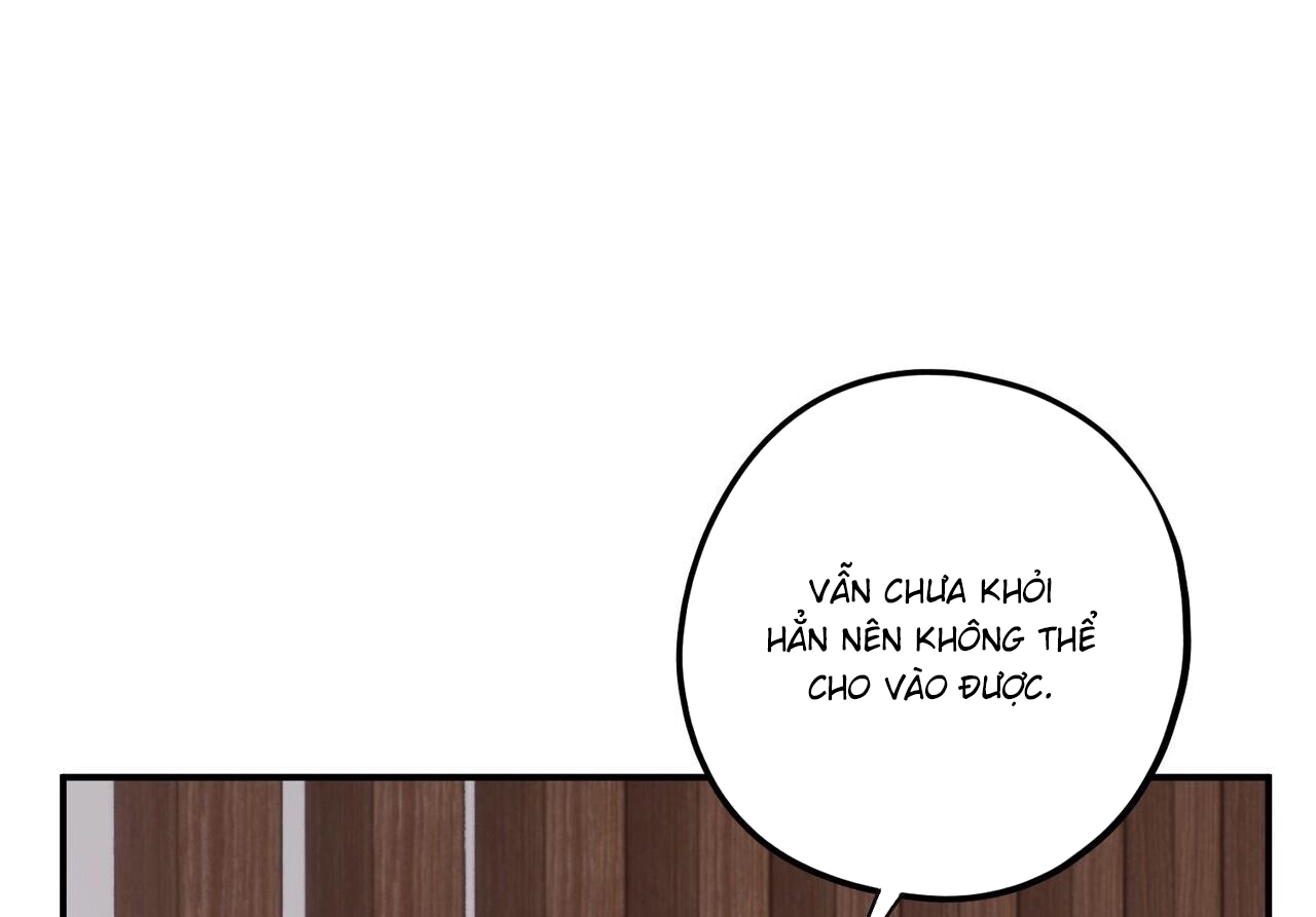 chàng dâu nhà họ kang chapter 34 158