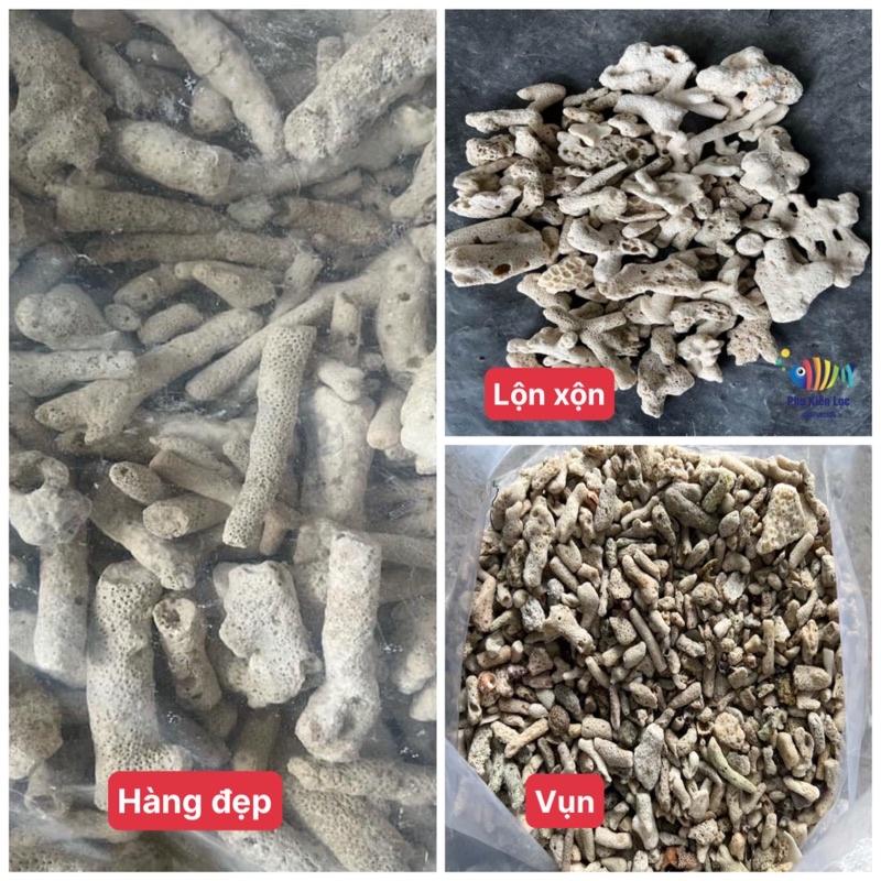 San Hô Vụn Dùng Để Lọc Nước 1kg