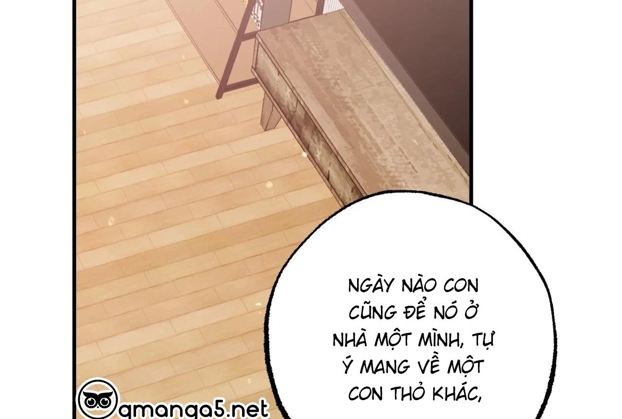 những chú thỏ của hapypy chapter 65 36