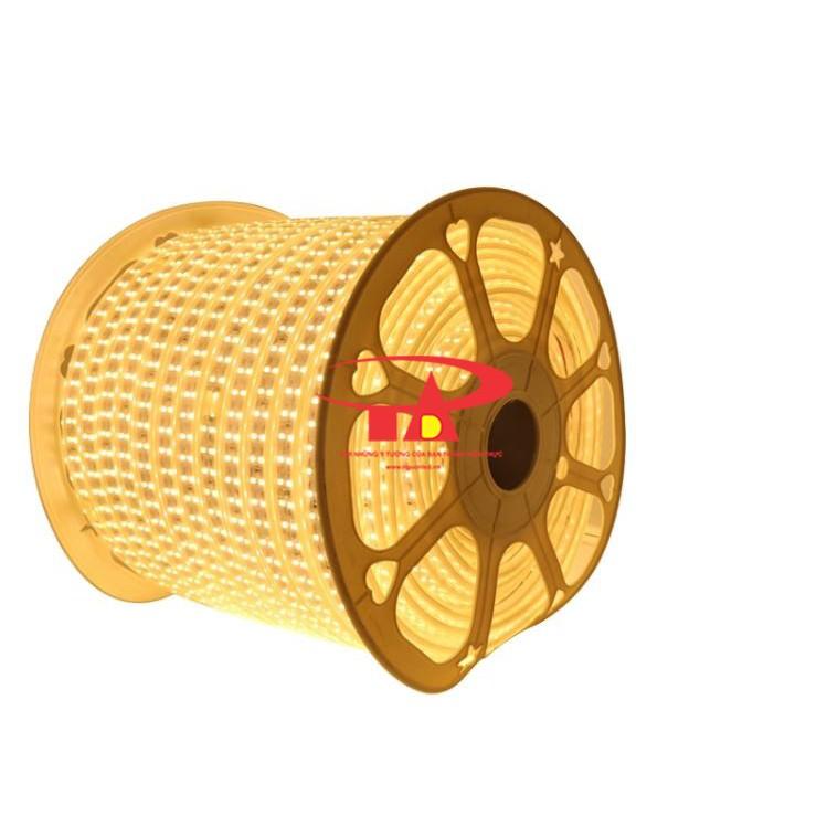 Đèn led dây 2835 cuộn 100m 220v