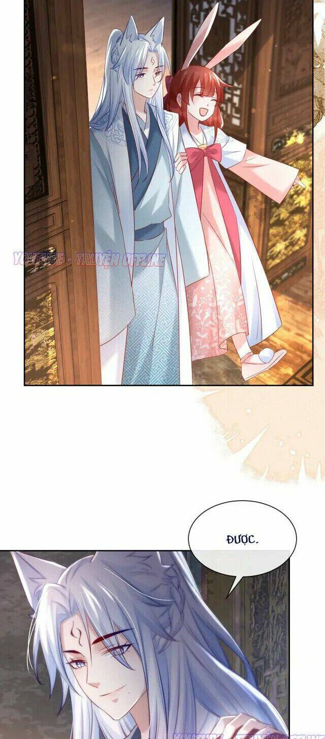 hắc hóa nam chính trực tuyến nuôi thỏ chapter 27 14