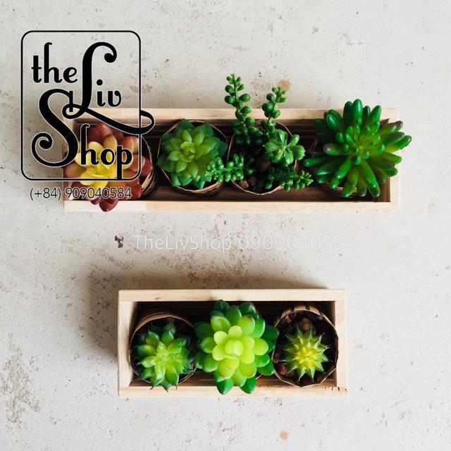 Chậu gỗ trồng cây
