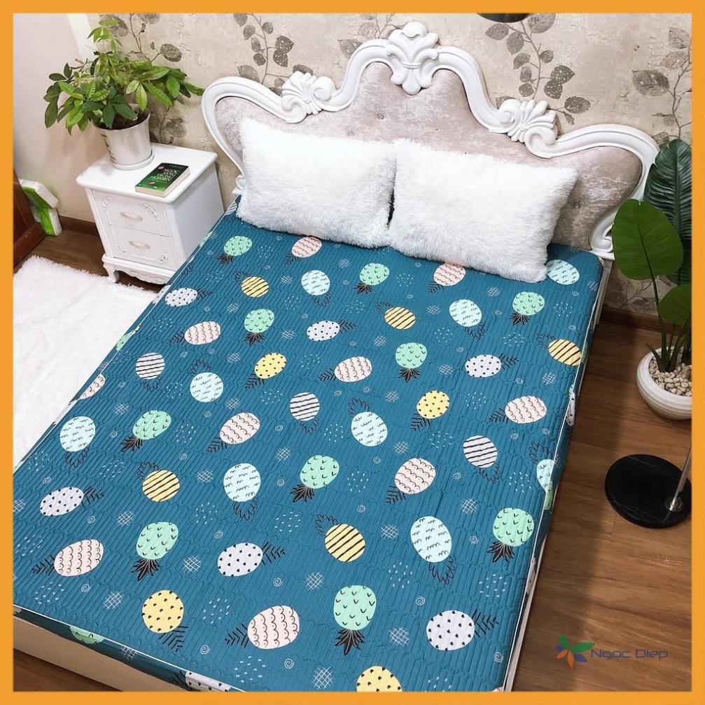 Bộ ga kèm 2 vỏ gối cotton Chần Bông mẫu Dứa Xanh cao cấp m2, m6, m8, 2m2