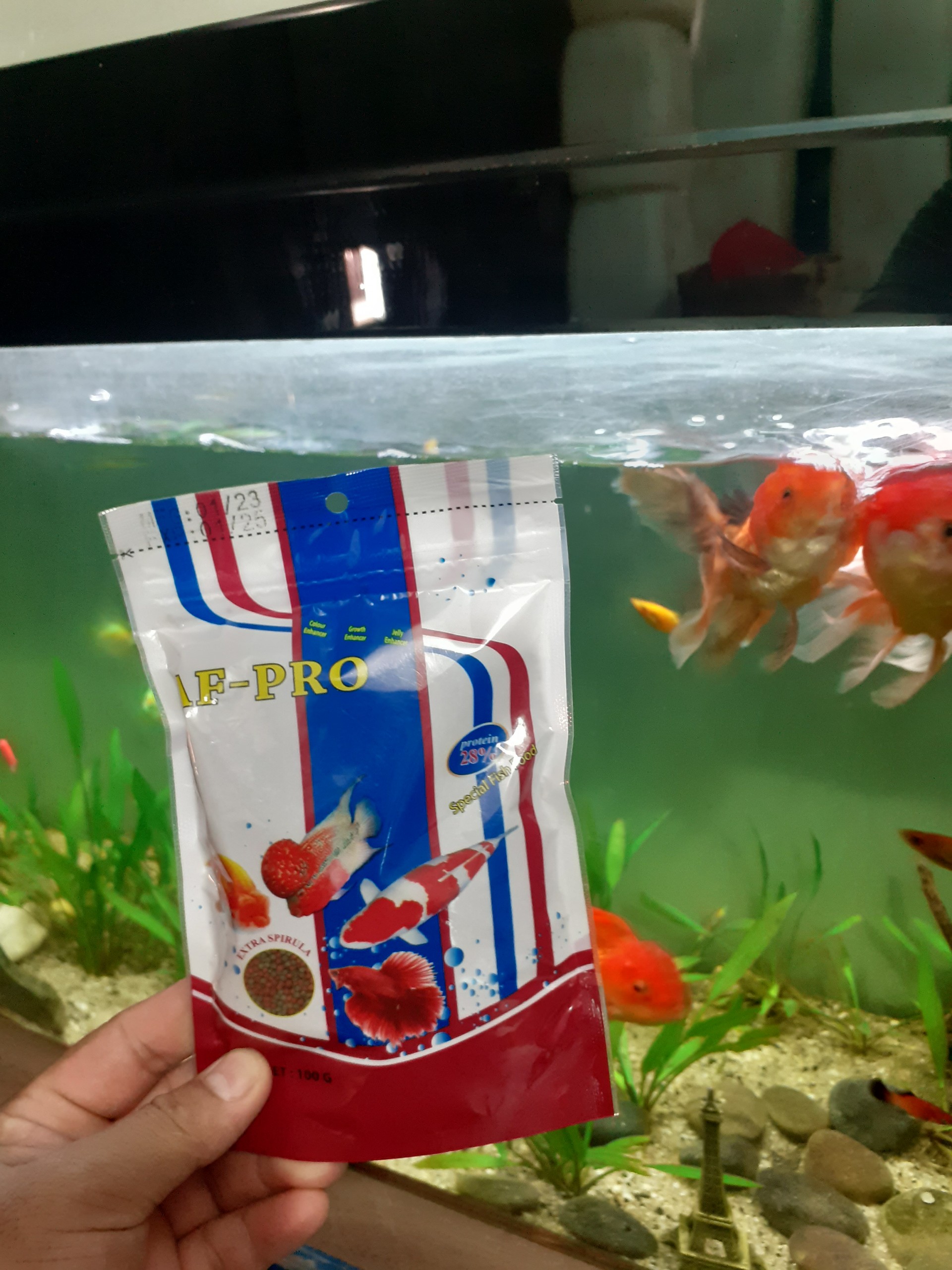 Gói 100gr Thức ăn tổng hợp dạng viên nhỏ cho tất cả các loại cá kiểng từ Thái Lan