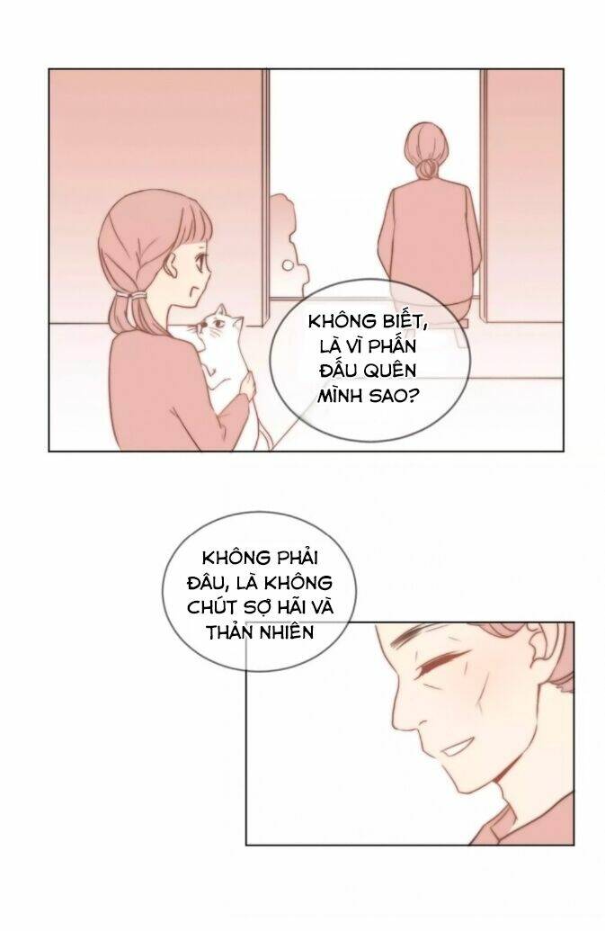 chào buổi sáng, hướng dương chapter 36 24