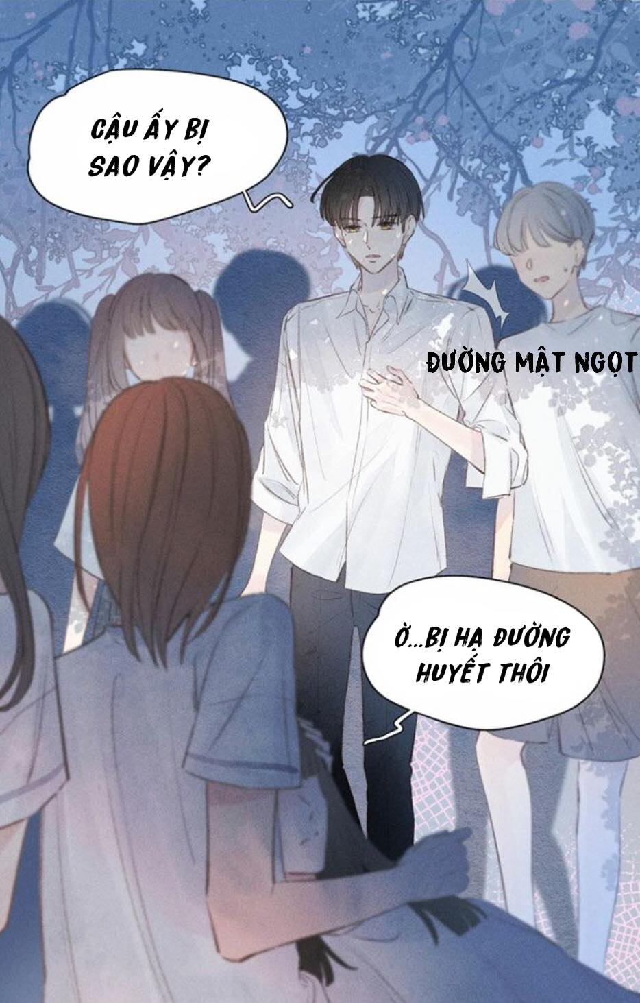 nỗi buồn của hoa cẩm tú cầu chapter 9 11