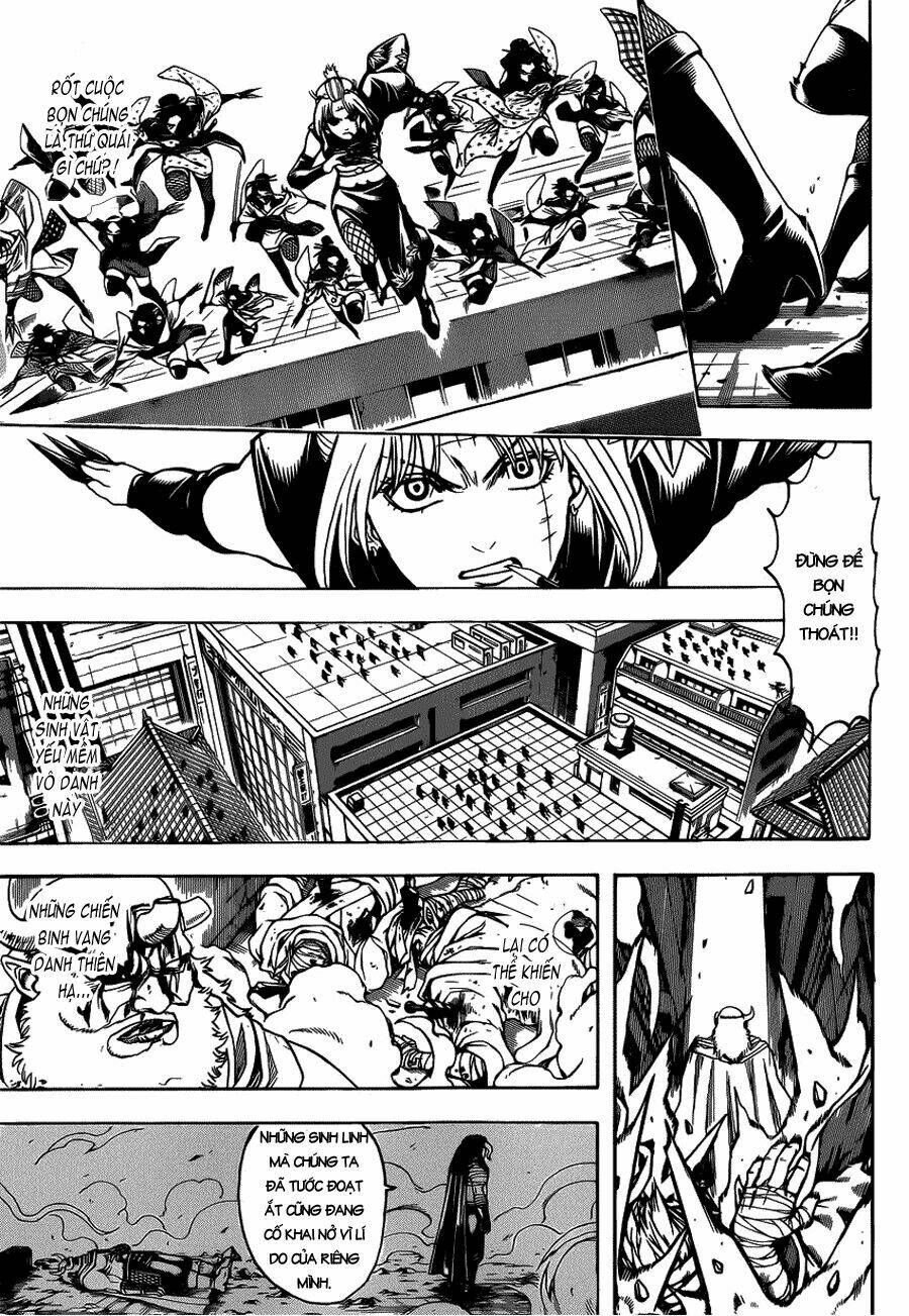 gintama - linh hồn bạc chapter 625 8