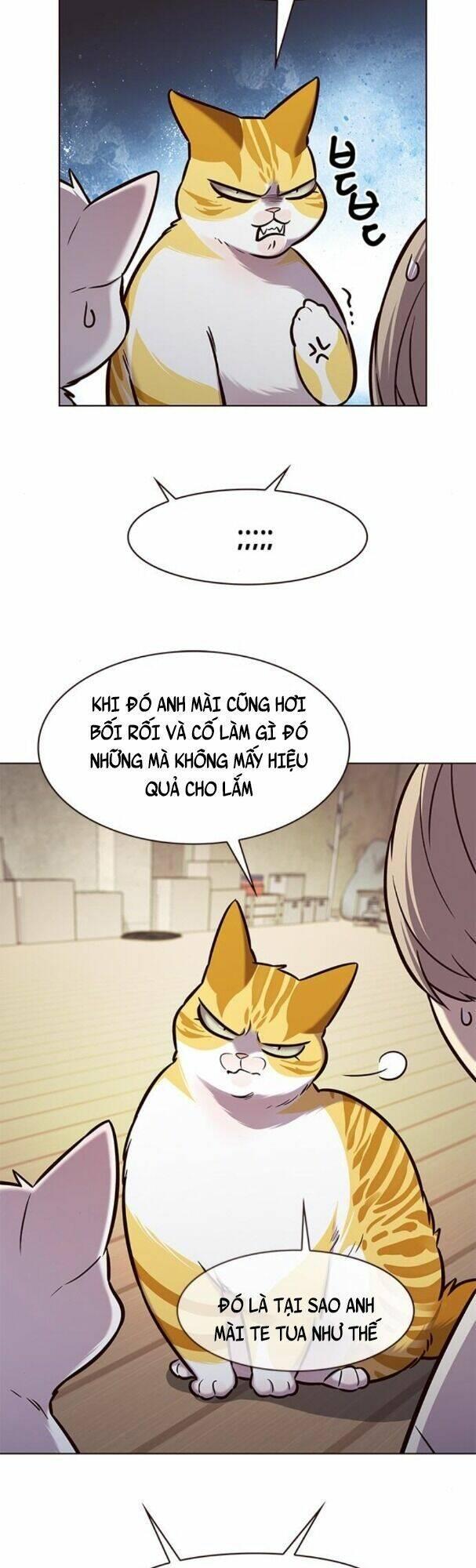 biến thân thành mèo chapter 180 39