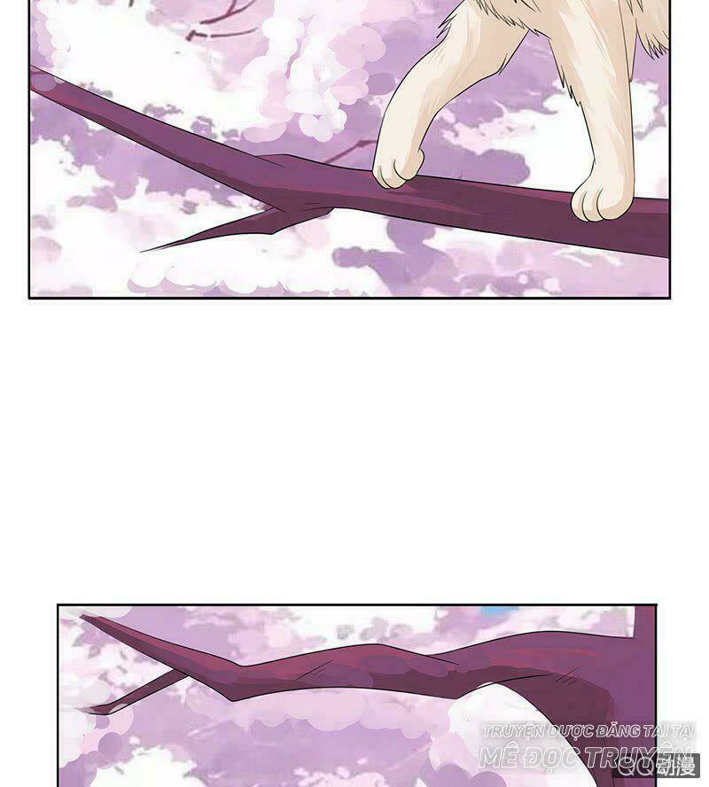 băng sơn học trưởng không được chọc chapter 53.1 11