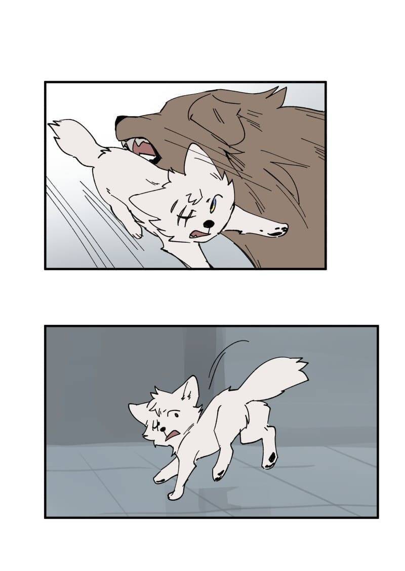 lumine - cội nguồn ánh sáng chapter 156 20