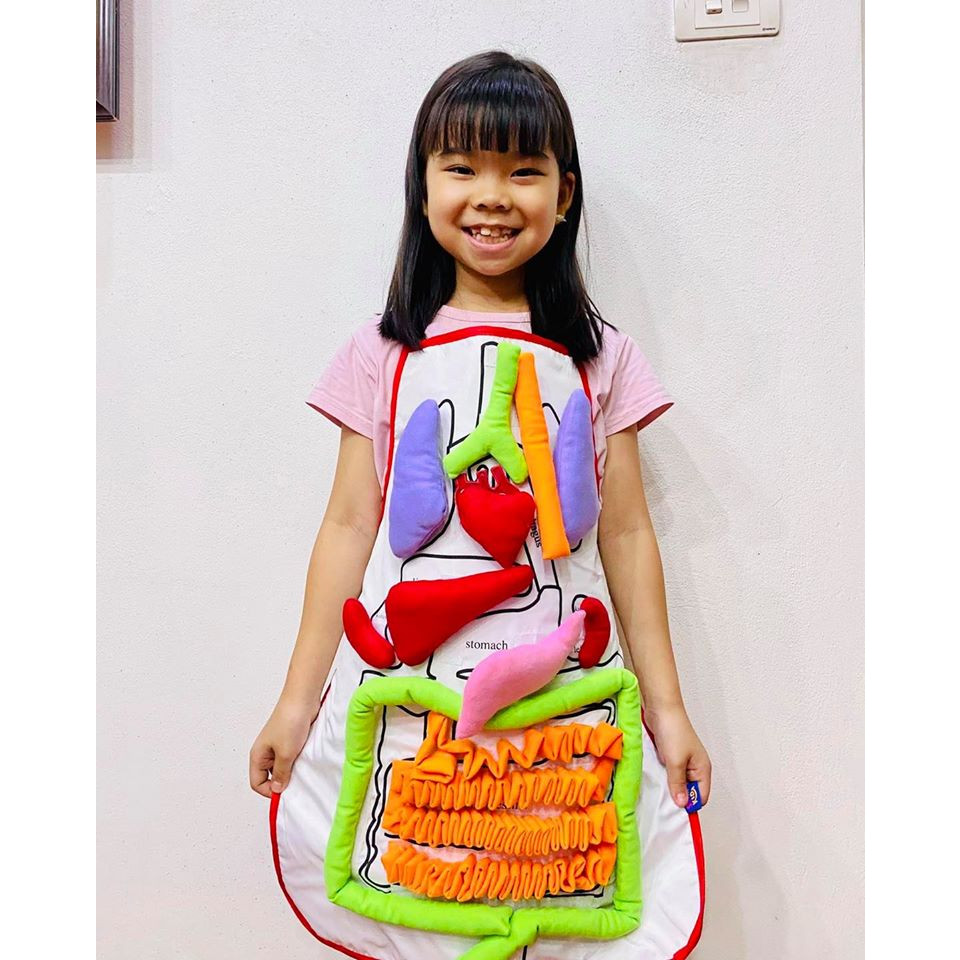 ANATOMY KIDS TOY - bộ đồ chơi tạp dề khám phá cơ thể