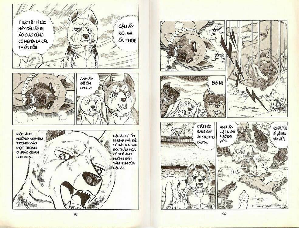 chú chó có nghĩa - ginga nagareboshi gin chapter 19 44