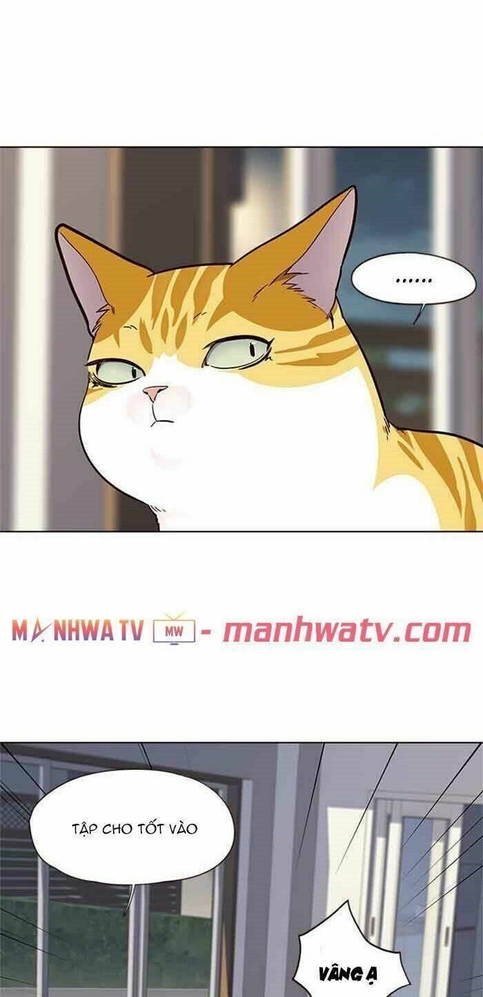 biến thân thành mèo chapter 23 46