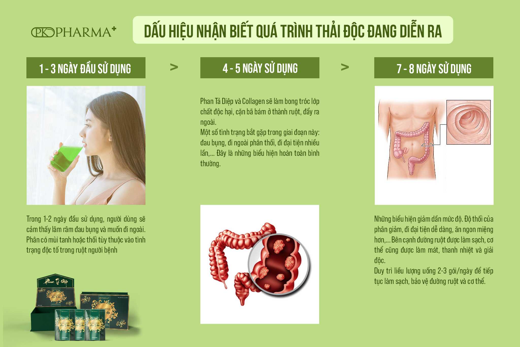 ]- Thải Độc Dạ Dày Phan Tả Diệp- Senna Detox- Pk Pharma-Dr Laicr