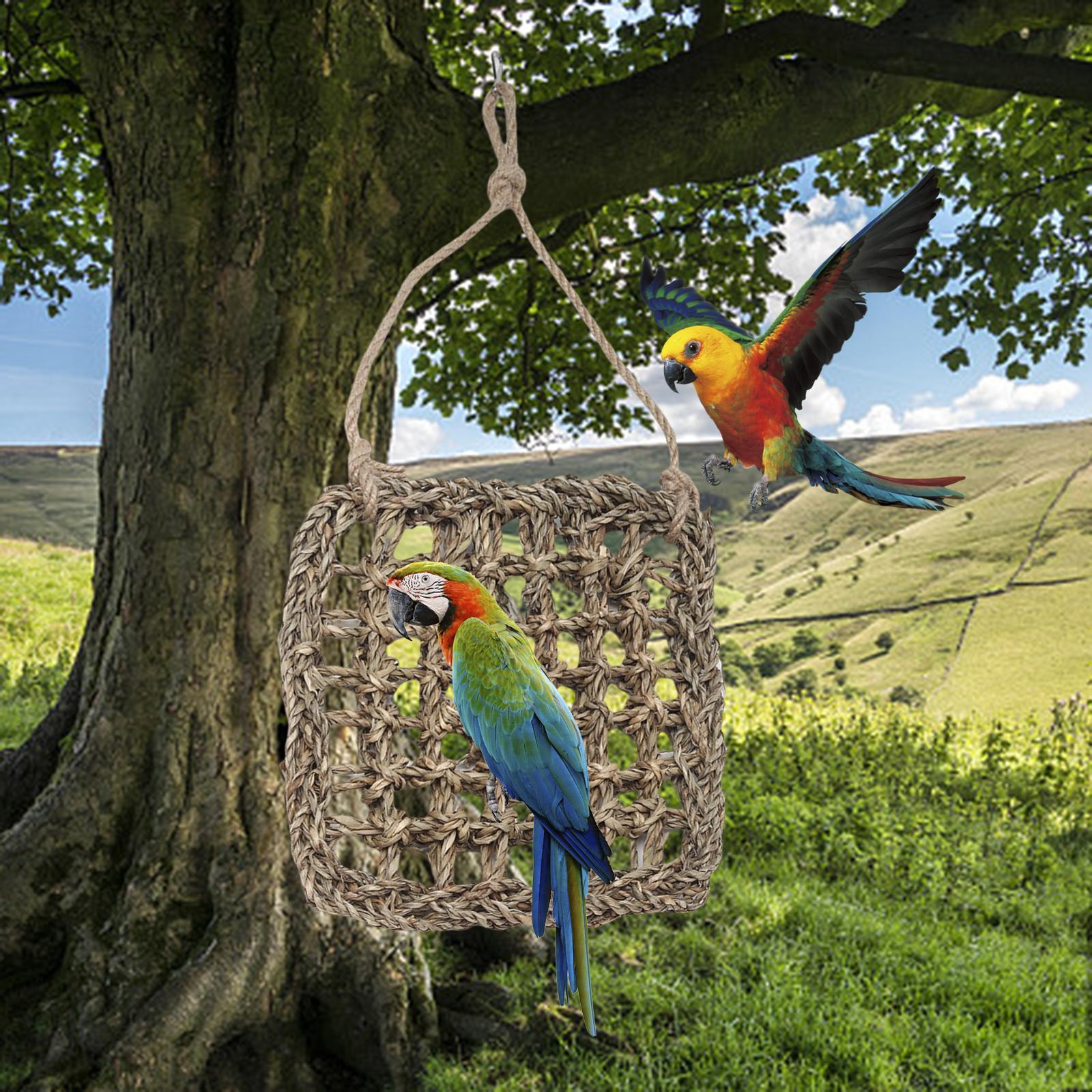 Climbing Ladder Hammock Activity Toy Bird Climbing Net for Finches Parakeets S