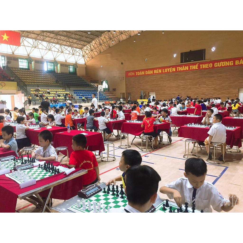 Bộ 32 quân cờ vua lẻ đạt tiêu chuẩn thi đấu quốc tế