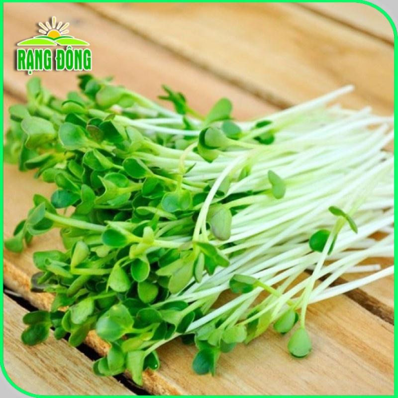 Hạt giống Rau Mầm Củ Cải Trắng Rado 01 (50g~3000 hạt) nảy mầm đồng đều, nhanh thu hoạch - Hạt giống Rạng Đông