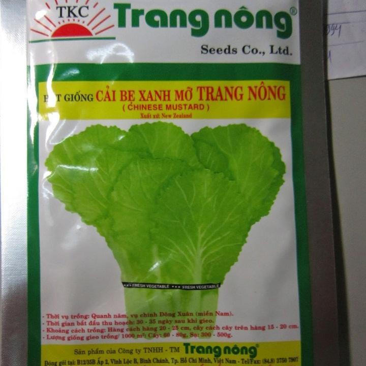 CÂY GIỐNG CẢI BẸ XANH MỠ CAO SẢN
