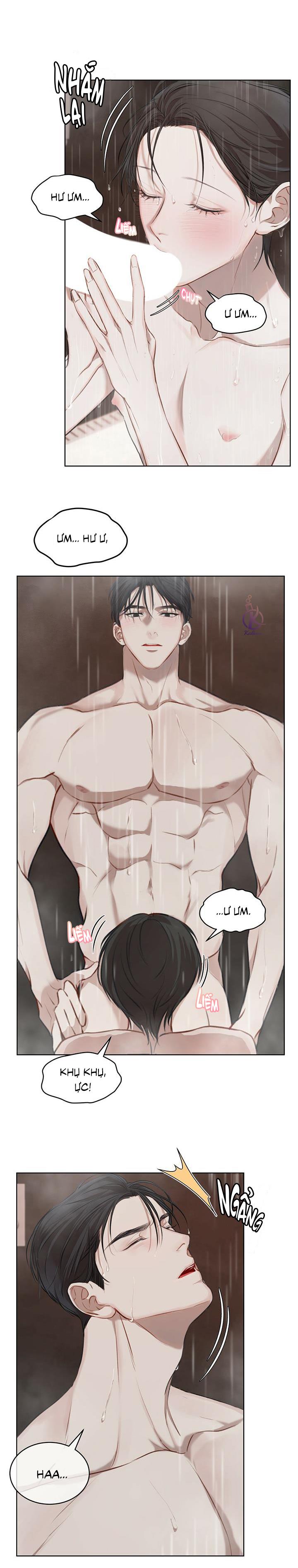 hình thái khởi sinh chapter 12 11