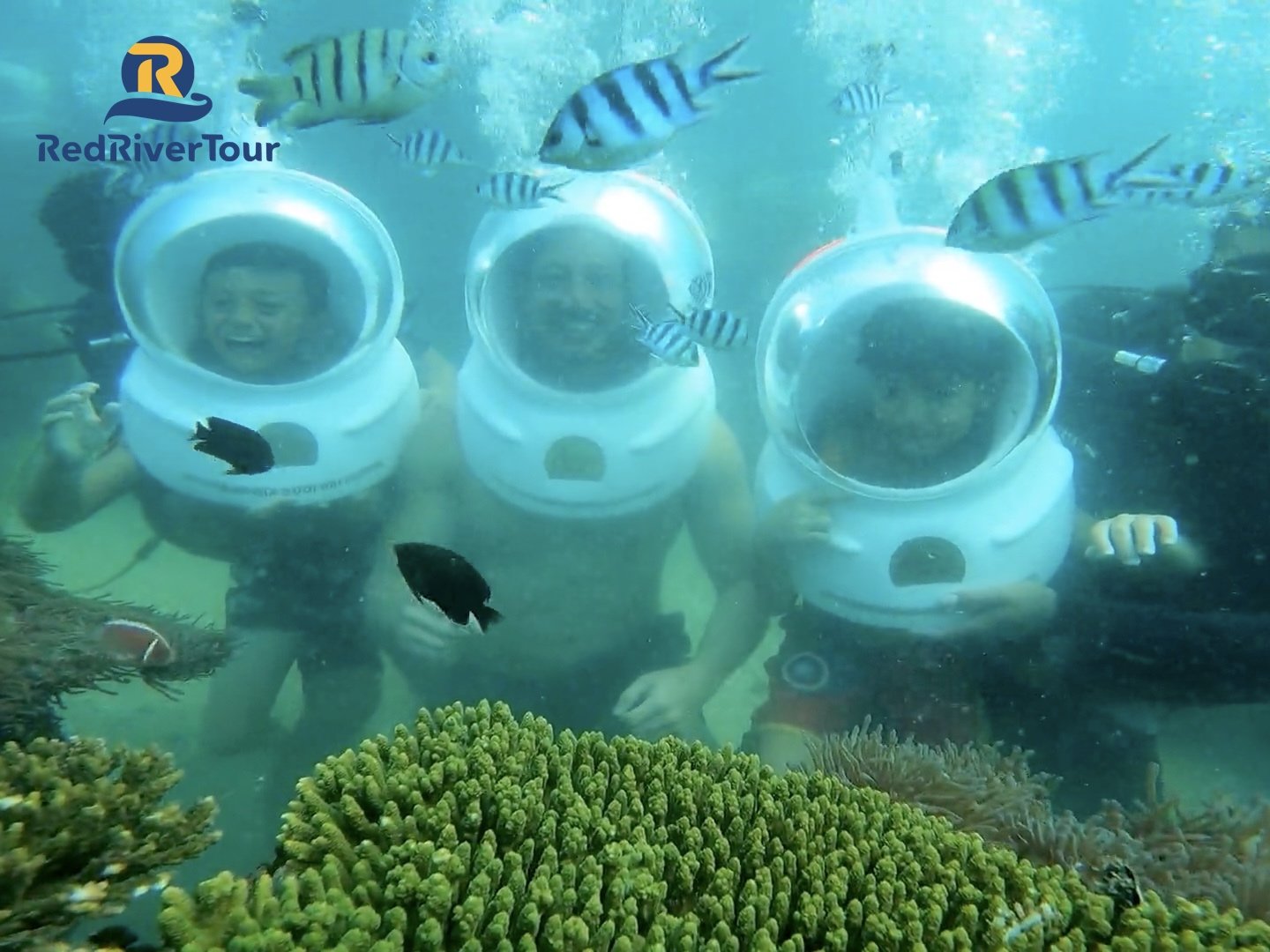 PHÚ QUỐC 4N3D - GRAND WORLD, SAFARI, VINWONDERS - NGẮM HOÀNG HÔN CÂU MỰC ĐÊM - NGẮM SAN HÔ