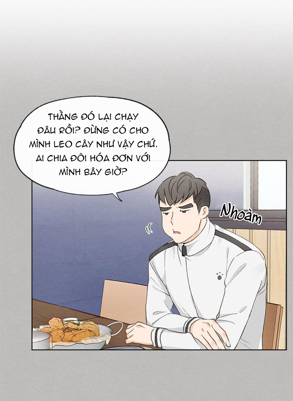 yêu hay không yêu chapter 11 28