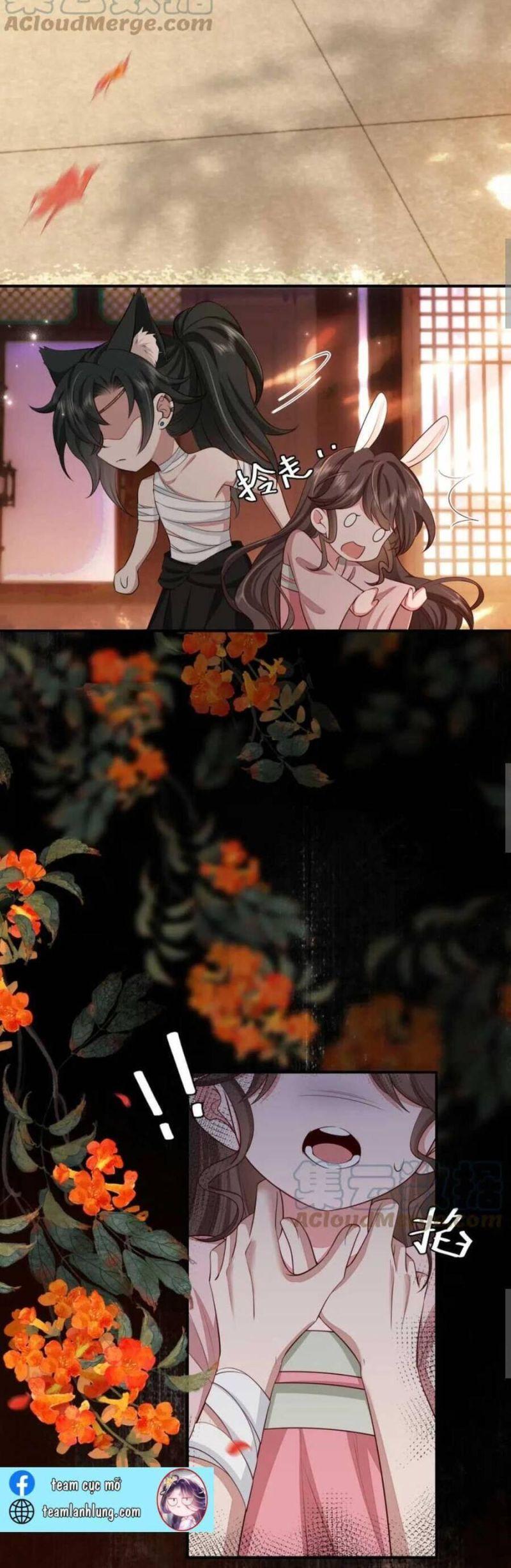 phương thức sinh tồn của công chúa pháo hôi chapter 121 5