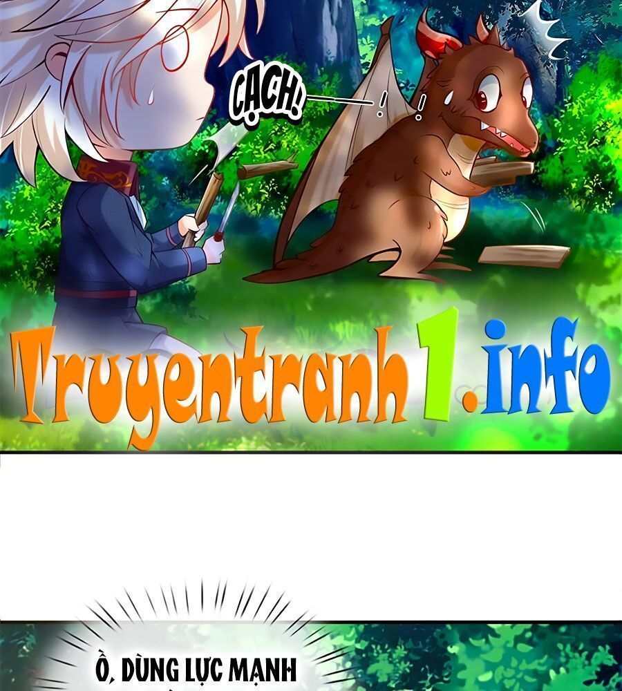 bỗng một ngày nọ trở thành con gái vua chapter 187 14