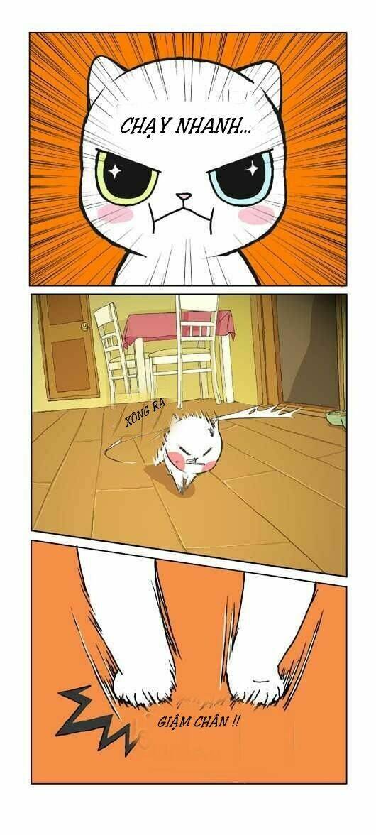 papi nyang chapter 1 7