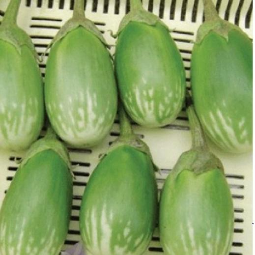 Combo 2 gói hạt giống cà trứng mã lai -gói 1gram