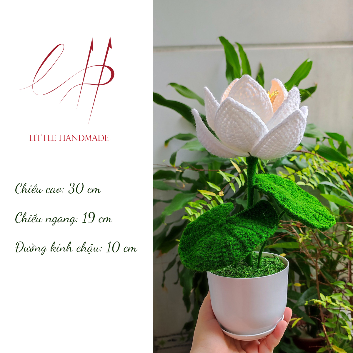 Chậu hoa sen trắng 12 cánh 30x19x10 cm trang trí bàn học, bàn làm việc, làm đèn ngủ, quà tặng,...