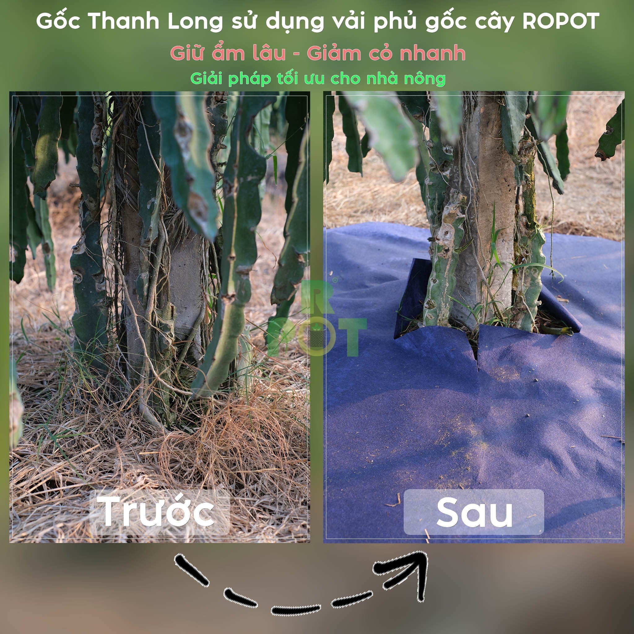 Tấm Vải Phủ Gốc Cây 1.5m x1.5m - Combo 5 tấm