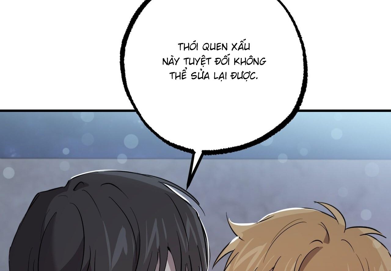 những chú thỏ của hapypy chapter 60 120